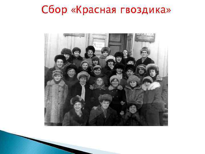 Сбор «Красная гвоздика» 