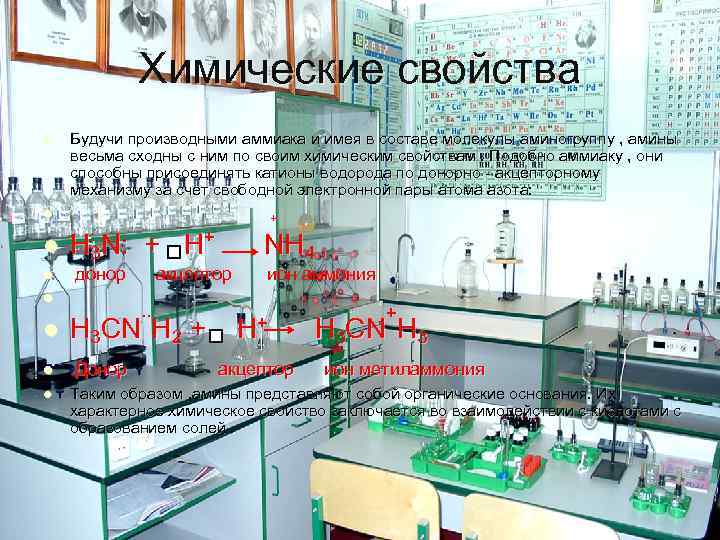 Химические свойства l Будучи производными аммиака и имея в составе молекулы аминогруппу , амины