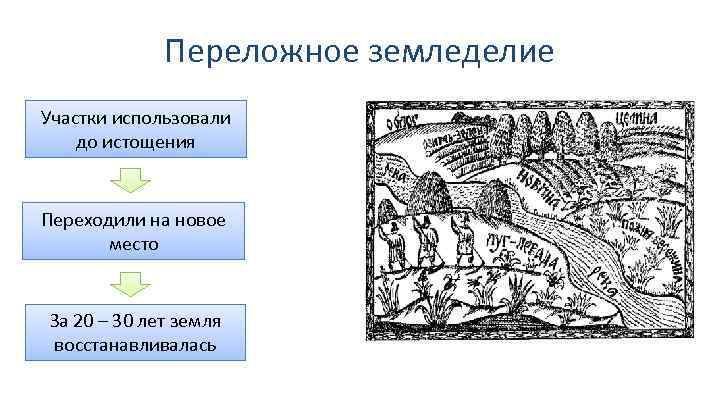 Переложное земледелие Участки использовали до истощения Переходили на новое место За 20 – 30