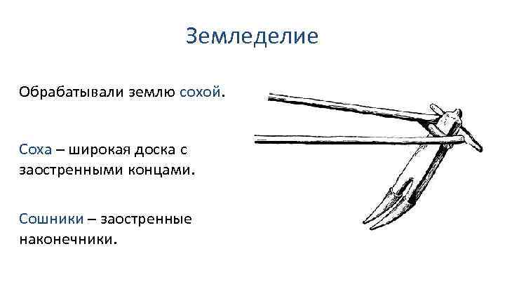 Земледелие Обрабатывали землю сохой. Соха – широкая доска с заостренными концами. Сошники – заостренные
