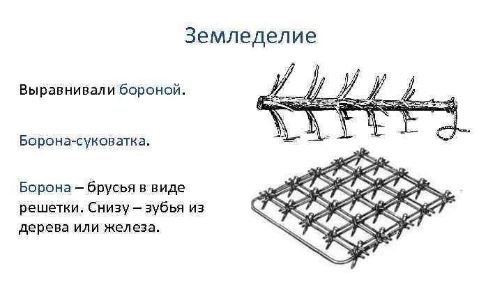 Земледелие Выравнивали бороной. Борона-суковатка. Борона – брусья в виде решетки. Снизу – зубья из