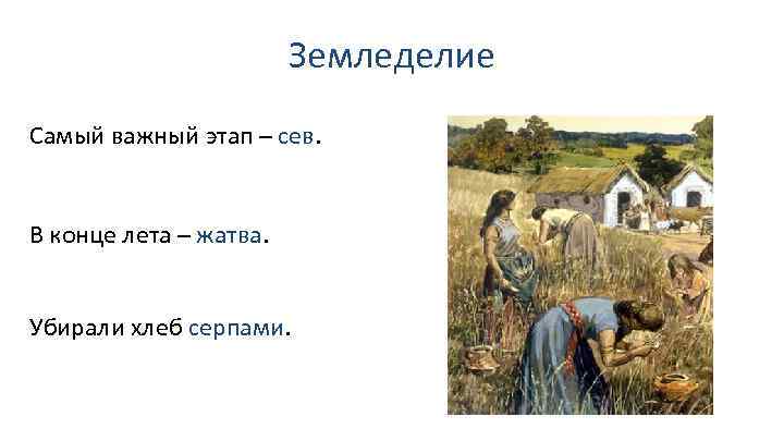 Земледелие Самый важный этап – сев. В конце лета – жатва. Убирали хлеб серпами.