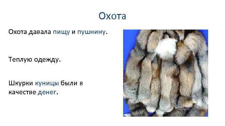 Охота давала пищу и пушнину. Теплую одежду. Шкурки куницы были в качестве денег. 