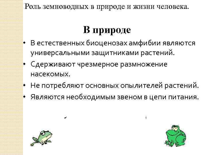 Значение земноводных в природе 8 класс. Роль земноводных в природе и жизни человека. Значение земноводных таблица. Значение земноводных в природе и жизни человека. Земноводные значение в природе и жизни человека.