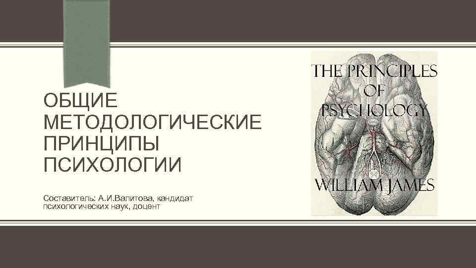 ОБЩИЕ МЕТОДОЛОГИЧЕСКИЕ ПРИНЦИПЫ ПСИХОЛОГИИ Составитель: А. И. Валитова, кандидат психологических наук, доцент 