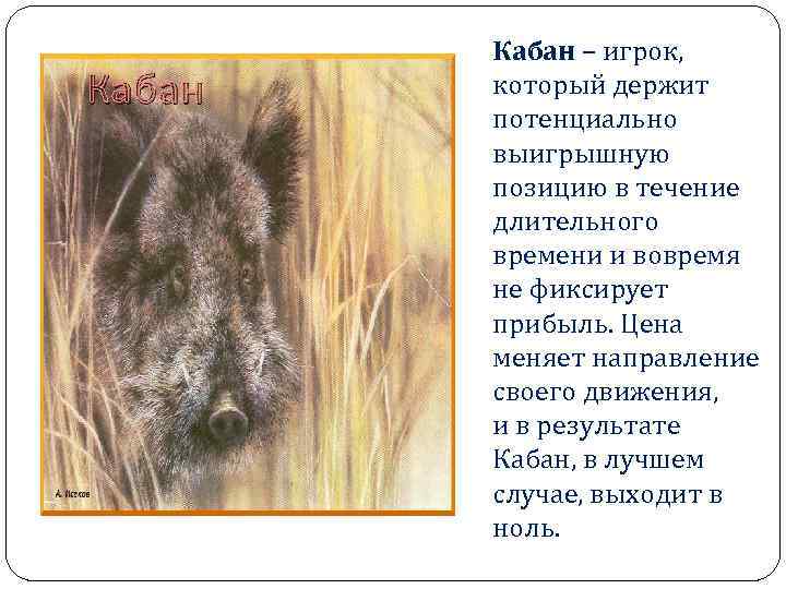 Кабан – игрок, который держит потенциально выигрышную позицию в течение длительного времени и вовремя