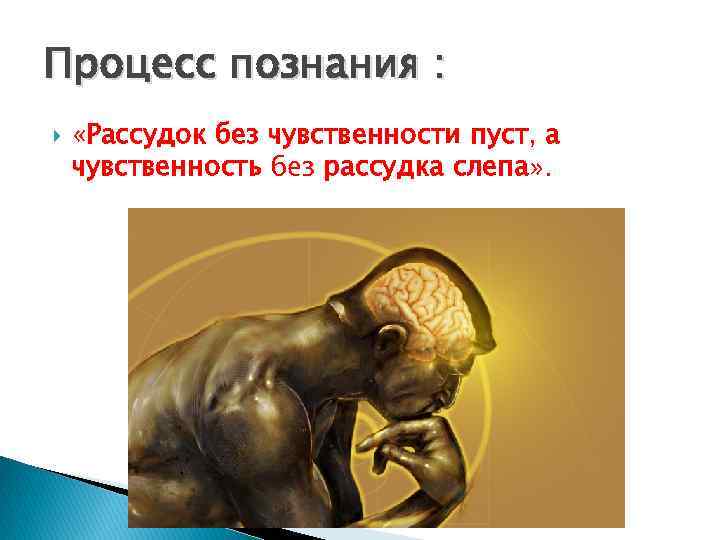 Рассудок. Рассудок это в философии. Рассудок это в психологии. Процесс познания рассудок. Что такое рассудок человека.