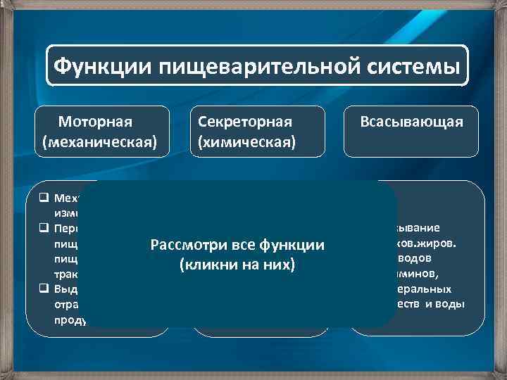 Функции пищеварительной системы Моторная (механическая) Секреторная (химическая) q Механическое измельчение пищи q Выработка q