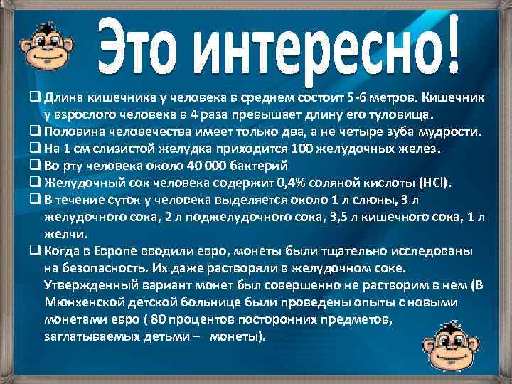 q Длина кишечника у человека в среднем состоит 5 -6 метров. Кишечник у взрослого