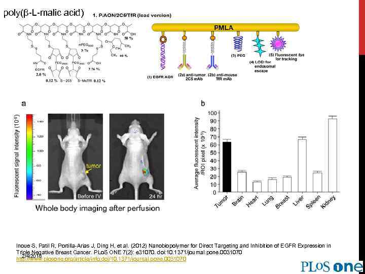 poly(β-L-malic acid) Inoue S, Patil R, Portilla-Arias J, Ding H, et al. (2012) Nanobiopolymer