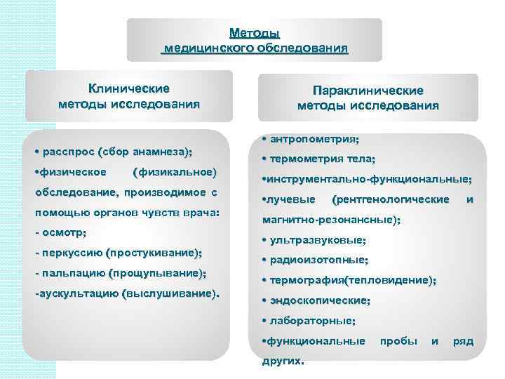 Сбор информации о пациенте физикальное обследование под руководством врача фельдшера