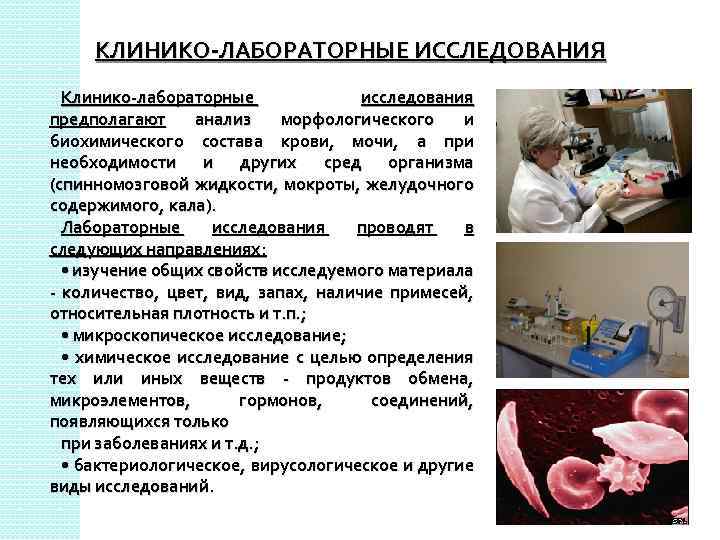 КЛИНИКО-ЛАБОРАТОРНЫЕ ИССЛЕДОВАНИЯ Клинико-лабораторные исследования предполагают анализ морфологического и биохимического состава крови, мочи, а при