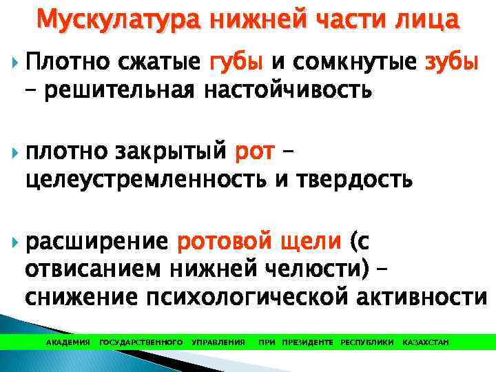 Мускулатура нижней части лица Плотно сжатые губы и сомкнутые зубы – решительная настойчивость плотно