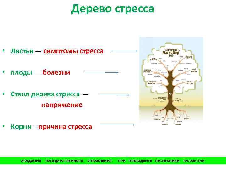 Дерево стресса • Листья — симптомы стресса • плоды — болезни • Ствол дерева