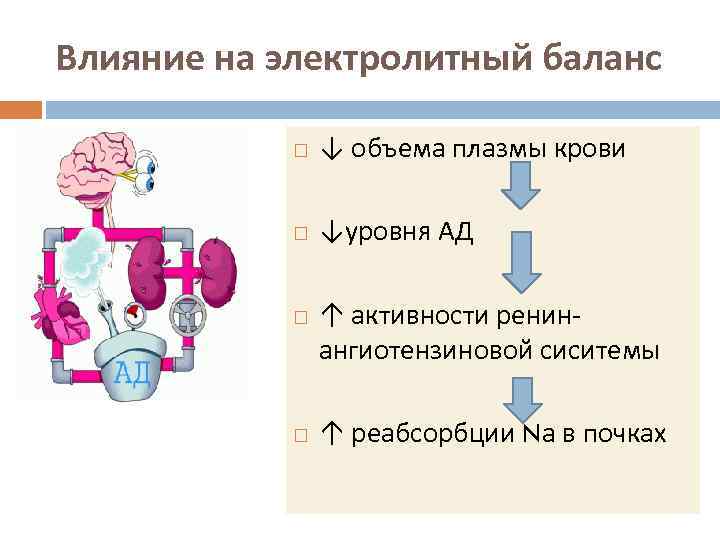 Влияние на электролитный баланс ↓ объема плазмы крови ↓уровня АД ↑ активности ренинангиотензиновой сиситемы