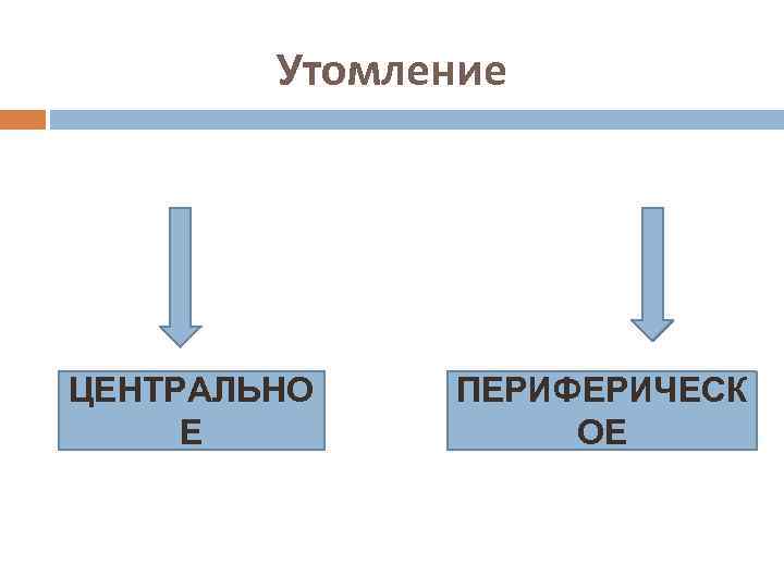 Утомление ЦЕНТРАЛЬНО Е ПЕРИФЕРИЧЕСК ОЕ 