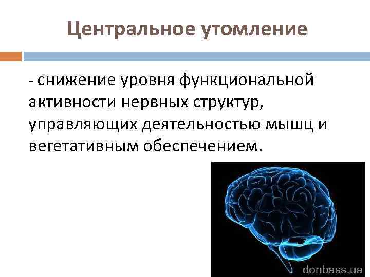 Центральное утомление - снижение уровня функциональной активности нервных структур, управляющих деятельностью мышц и вегетативным