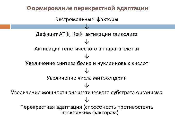 Формирование перекрестной адаптации Экстремальные факторы ↓ Дефицит АТФ, Кр. Ф, активации гликолиза ↓ Активация