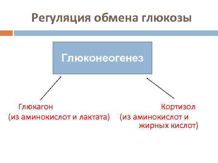 Регуляция обмена глюкозы Глюконеогенез Глюкагон (из аминокислот и лактата) Кортизол (из аминокислот и жирных