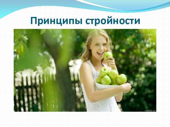 Принципы стройности 