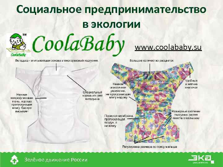 Социальное предпринимательство в экологии www. coolababy. su Зелёное движение России 