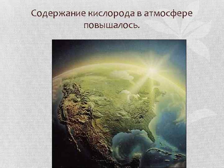Содержание кислорода в атмосфере повышалось. 