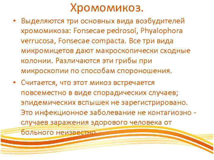 Хромомикоз. • Выделяются три основных вида возбудителей хромомикоза: Fonsecae pedrosoi, Phyalophora verrucosa, Fonsecae compacta.