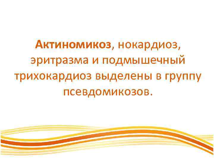 Актиномикоз, нокардиоз, эритразма и подмышечный трихокардиоз выделены в группу псевдомикозов. 