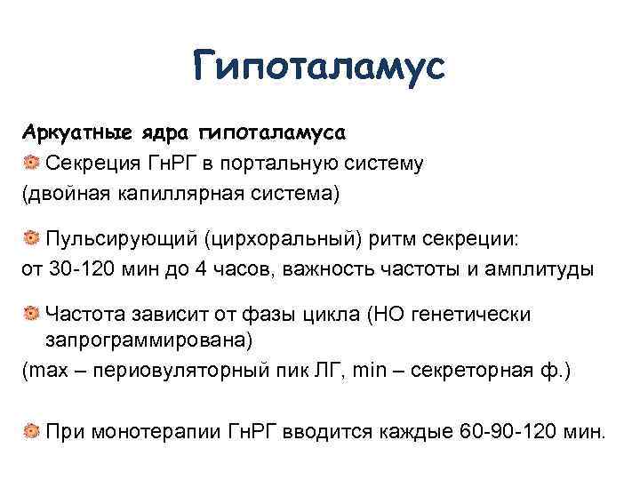 Гипоталамус Аркуатные ядра гипоталамуса Секреция Гн. РГ в портальную систему (двойная капиллярная система) Пульсирующий