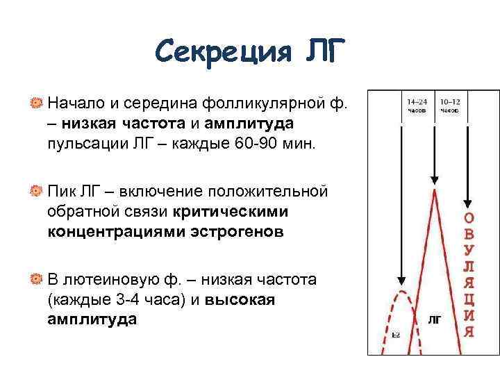 Секреция ЛГ Начало и середина фолликулярной ф. – низкая частота и амплитуда пульсации ЛГ