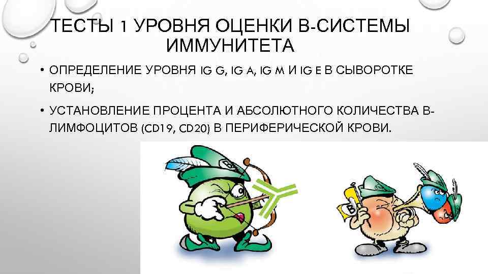 ТЕСТЫ 1 УРОВНЯ ОЦЕНКИ В-СИСТЕМЫ ИММУНИТЕТА • ОПРЕДЕЛЕНИЕ УРОВНЯ IG G, IG A, IG