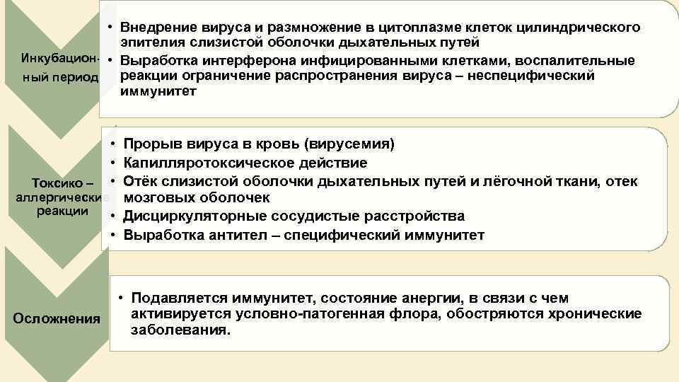  • Внедрение вируса и размножение в цитоплазме клеток цилиндрического эпителия слизистой оболочки дыхательных