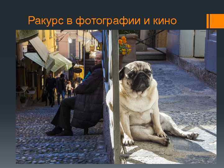 Ракурс в фотографии и кино 