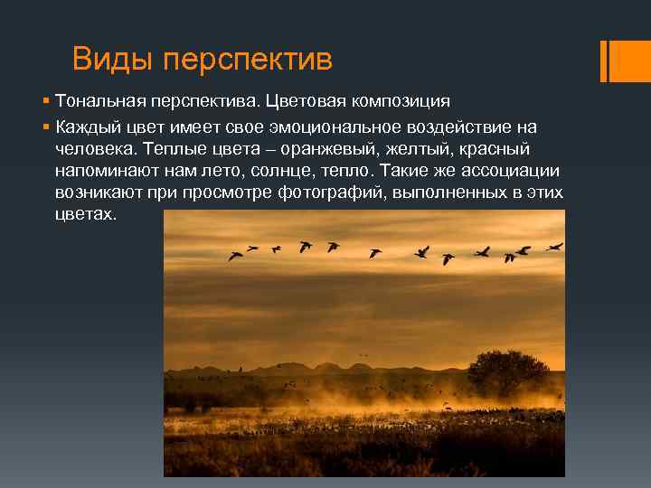 Виды перспектив § Тональная перспектива. Цветовая композиция § Каждый цвет имеет свое эмоциональное воздействие