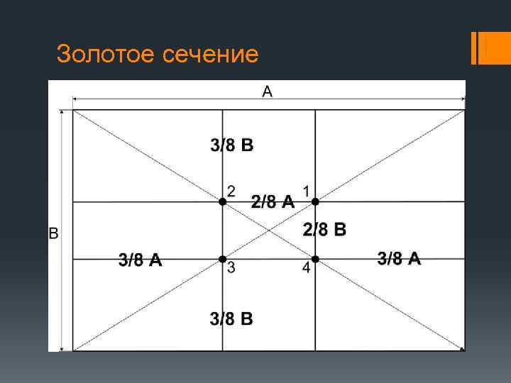 Золотое сечение 