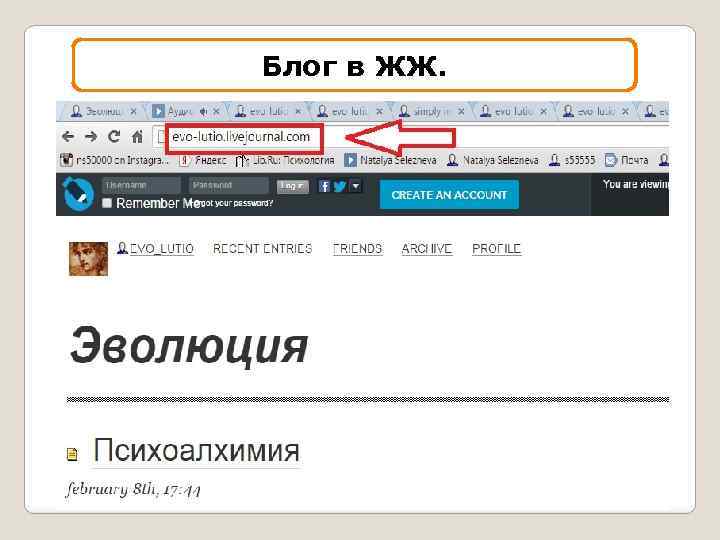 Блог в ЖЖ. 