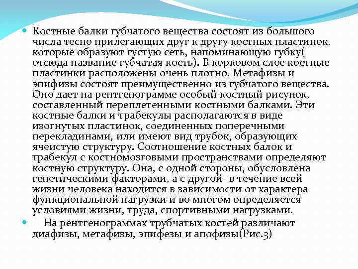  Костные балки губчатого вещества состоят из большого числа тесно прилегающих друг к другу