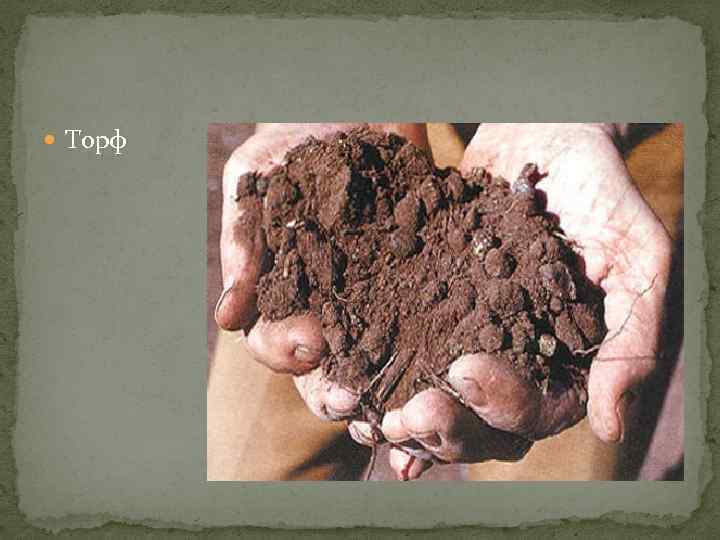  Торф 