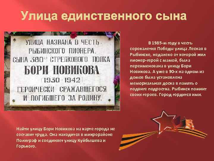 Улица единственного сына В 1985 -м году в честь сорокалетия Победы улица Лесная в