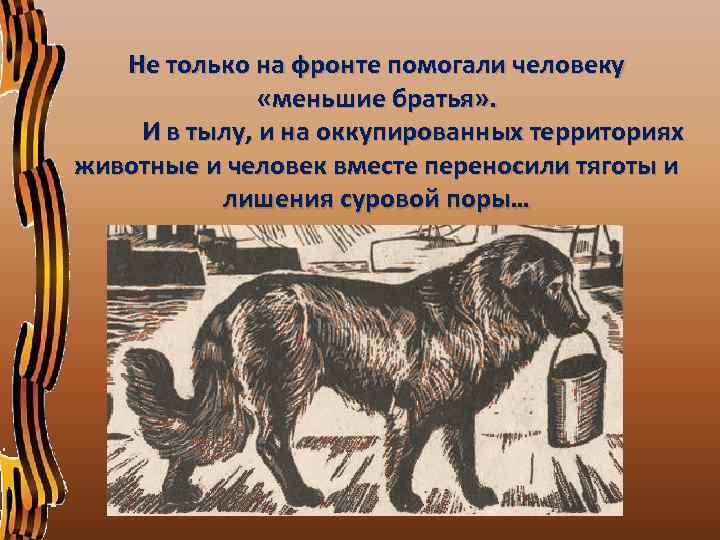 Не только на фронте помогали человеку «меньшие братья» . И в тылу, и на