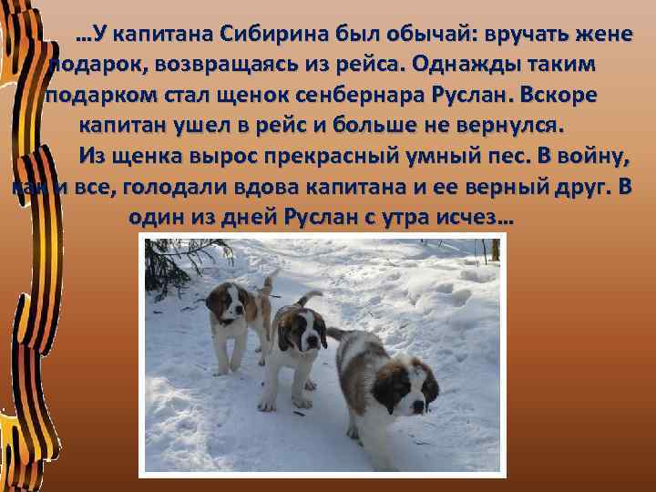 …У капитана Сибирина был обычай: вручать жене подарок, возвращаясь из рейса. Однажды таким подарком