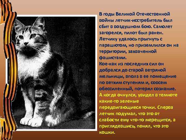 В годы Великой Отечественной войны летчик-исстребитель был сбит в воздушном бою. Самолет загорелся, пилот