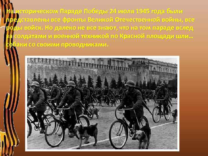 На историческом Параде Победы 24 июля 1945 года были представлены все фронты Великой Отечественной