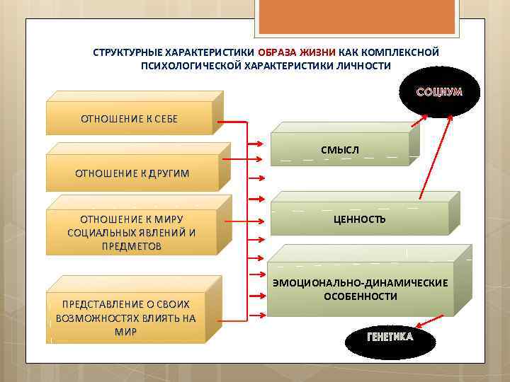 СТРУКТУРНЫЕ ХАРАКТЕРИСТИКИ ОБРАЗА ЖИЗНИ КАК КОМПЛЕКСНОЙ ПСИХОЛОГИЧЕСКОЙ ХАРАКТЕРИСТИКИ ЛИЧНОСТИ СОЦИУМ ОТНОШЕНИЕ К СЕБЕ СМЫСЛ