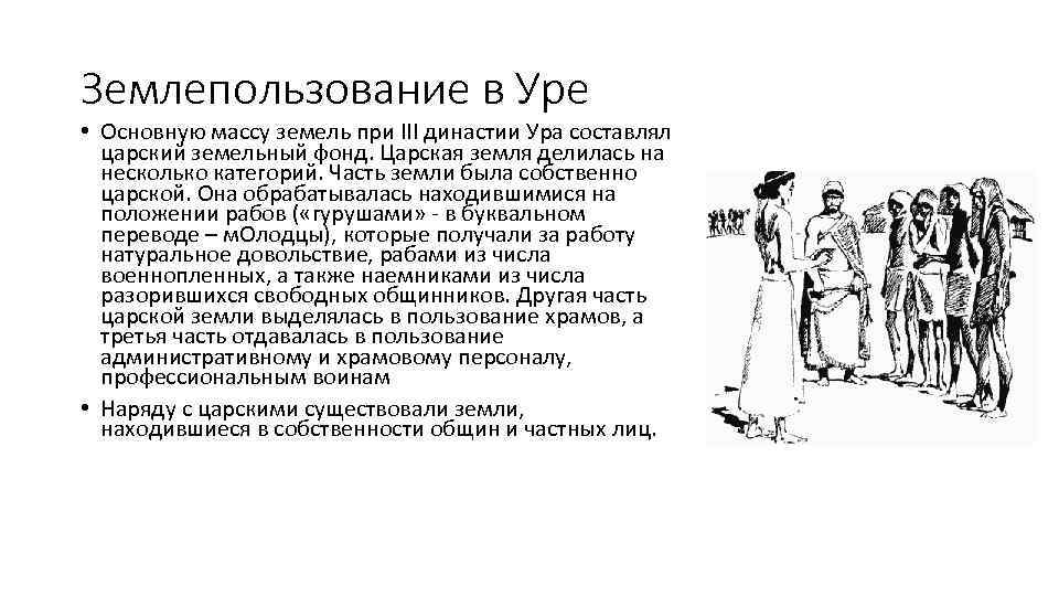 Землепользование в Уре • Основную массу земель при III династии Ура составлял царский земельный