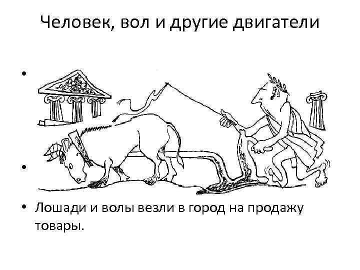 Ваши волы. Значение слова вол. Работать как вол. Что значит слово волы. Волы ударение животное.