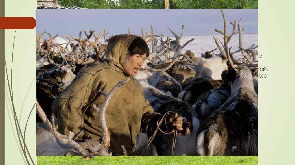 Распространение государства С упрочением государственности в Европе она все более и более распространяется среди