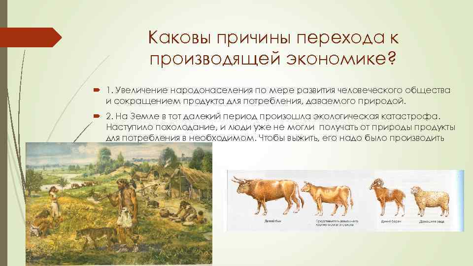Каковы причины перехода к производящей экономике? 1. Увеличение народонаселения по мере развития человеческого общества