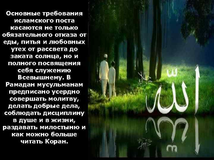 Основные требования исламского поста касаются не только обязательного отказа от еды, питья и любовных