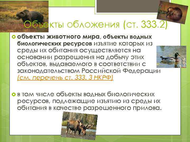 Объекты обложения (ст. 333. 2) объекты животного мира, объекты водных биологических ресурсов изъятие которых